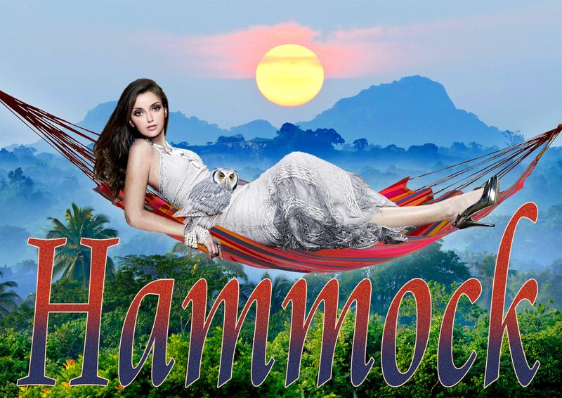 Hammock