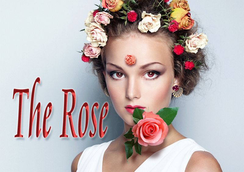 The Rose