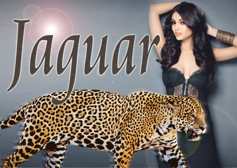 Jaguar