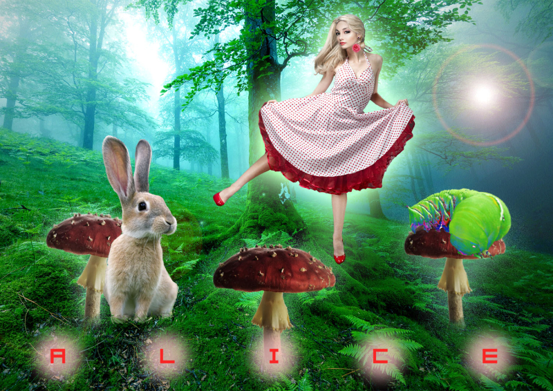 Alice