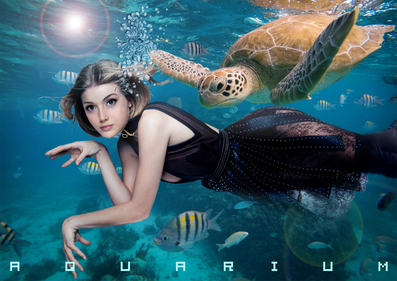 Aquarium