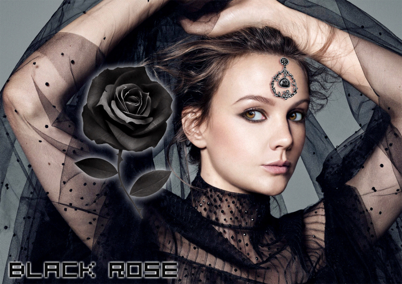 Black Rose