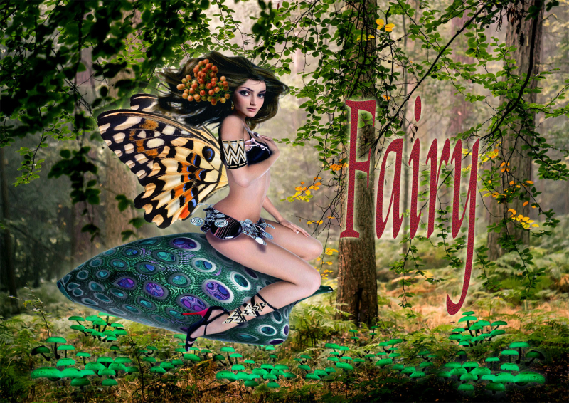 Fairy