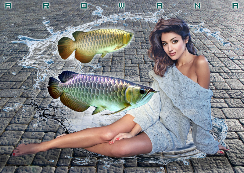 Arowana