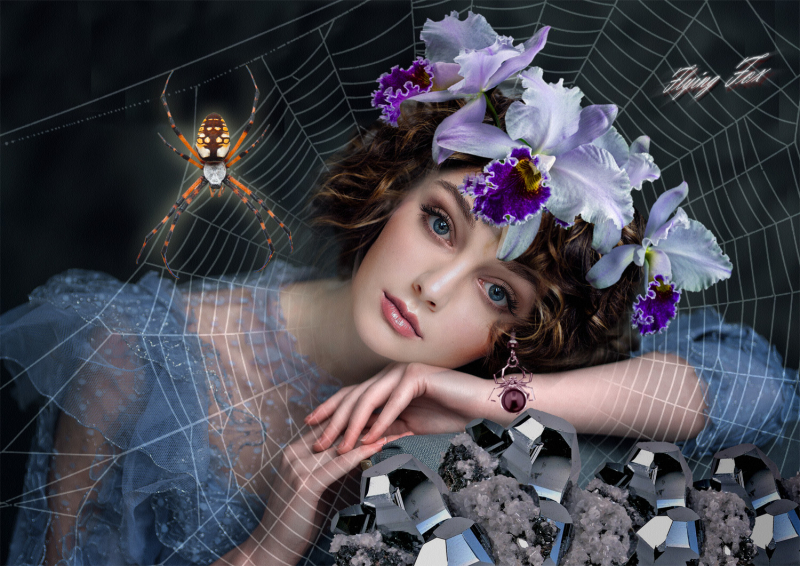 Alice Spiderweb